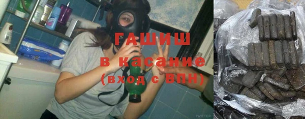 стаф Алзамай