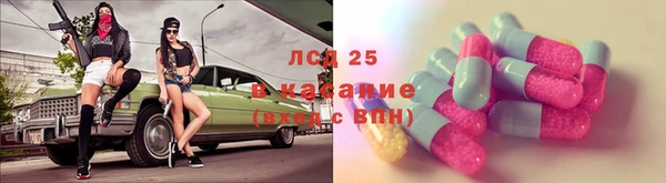 стаф Алзамай