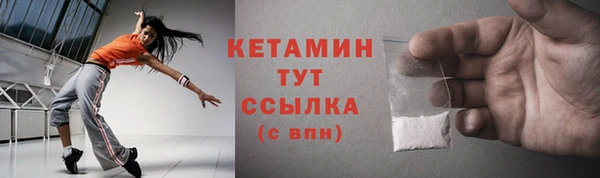 стаф Алзамай