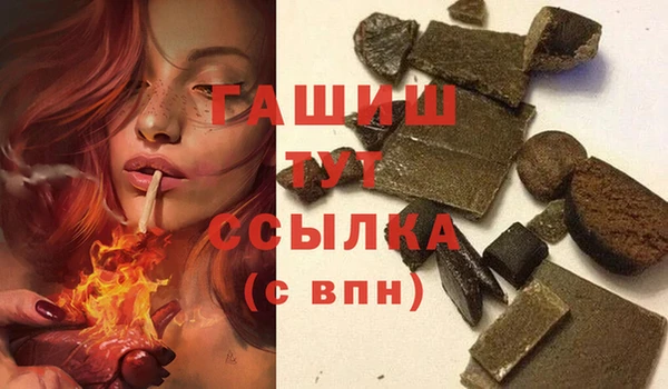 стаф Алзамай