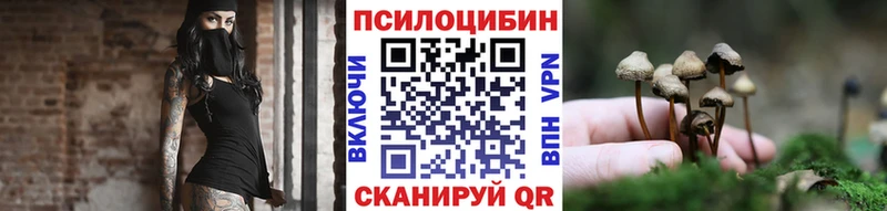 Псилоцибиновые грибы MAGIC MUSHROOMS  где купить наркотик  Звенигово 